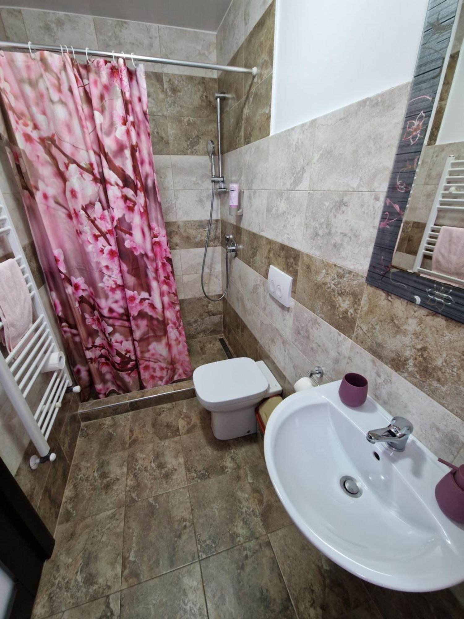 Guest house Pensiunea Bella Vista 3*