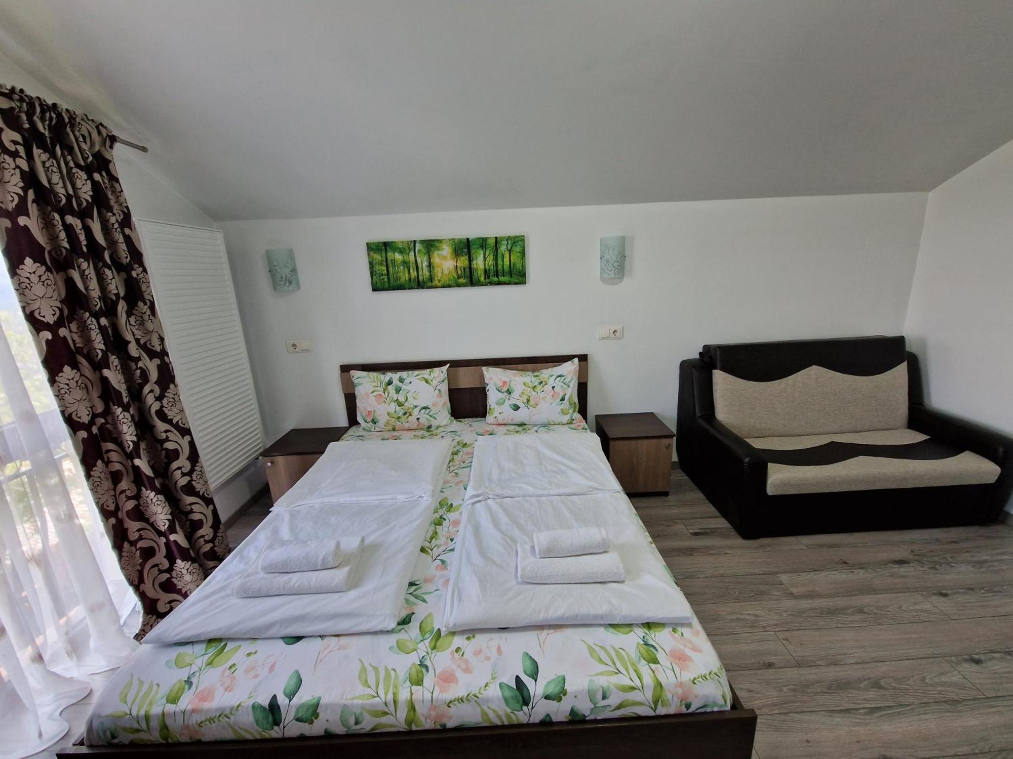 Pensiunea Bella Vista Guest house
