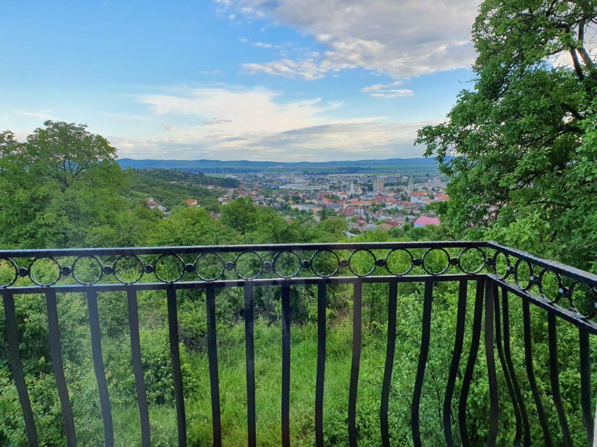 Pensiunea Bella Vista 3*
