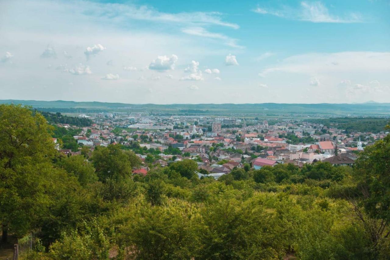 Pensiunea Bella Vista Turda