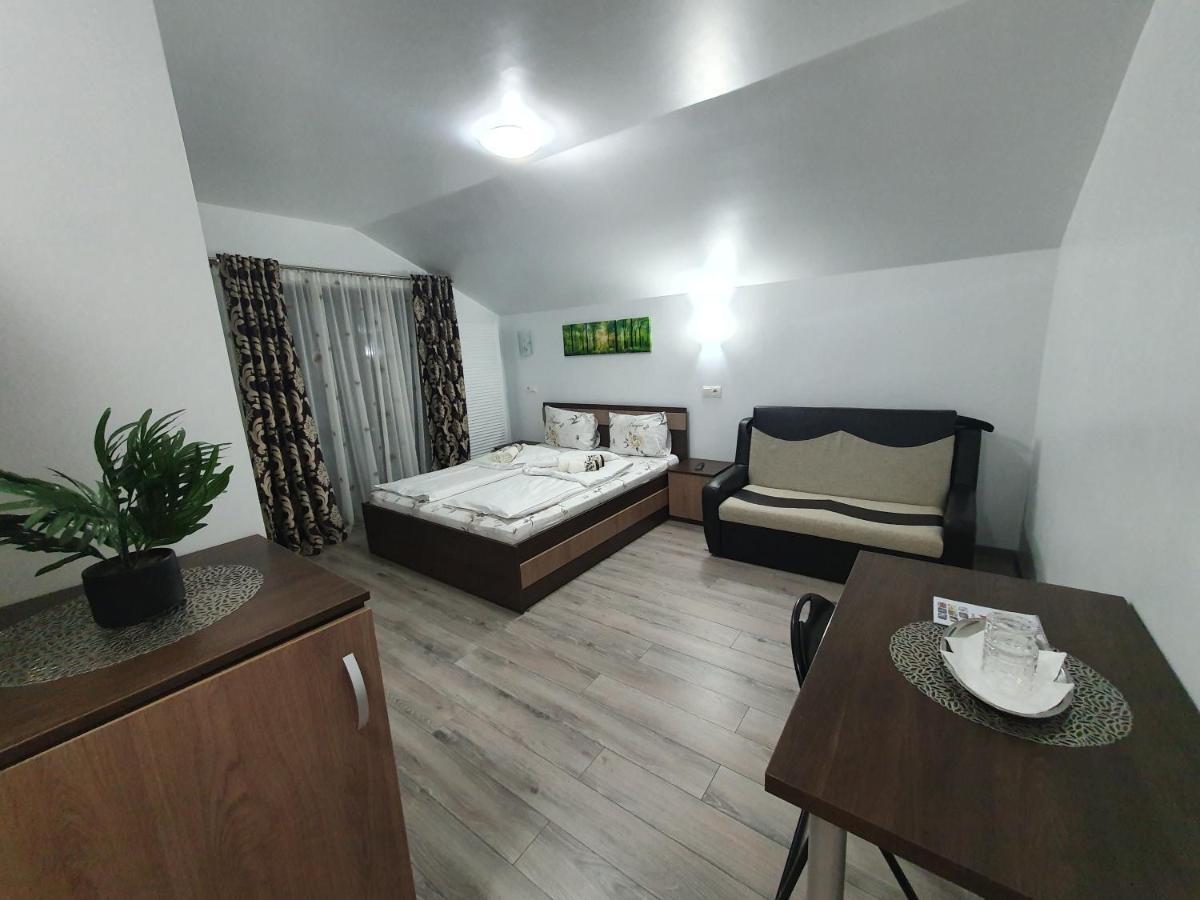 Pensiunea Bella Vista Guest house